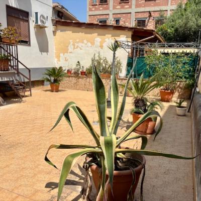 largo ernesto nuccio